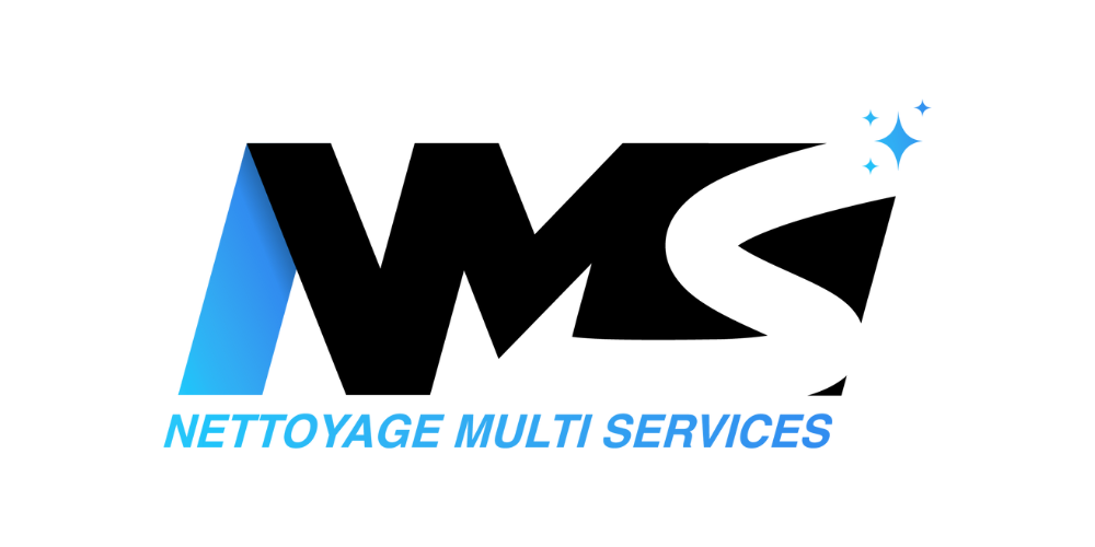 logo NMS