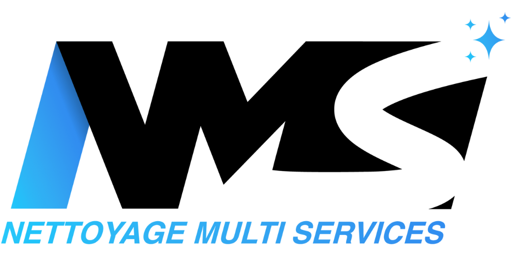 NMS - Nettoyage multi services